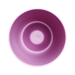 brussels orchidee hoch 12,5cm kräftiges violet